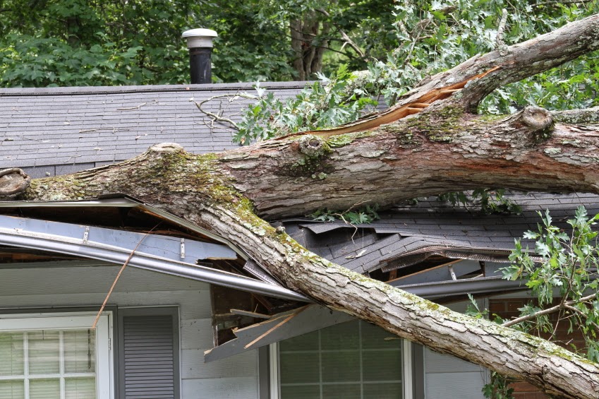 Storm damage.jpg Storm damage.jpg