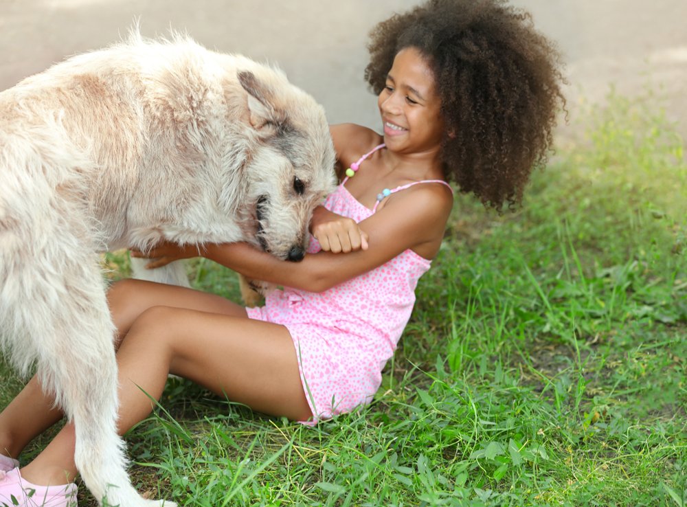dogs liability.png dogs liability.png