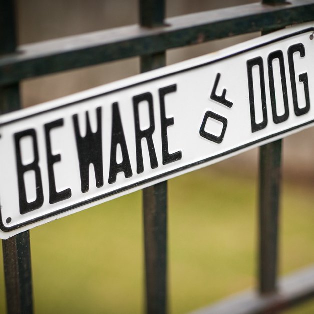 beware dog.png beware dog.png