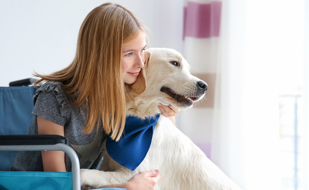 service dog infographic.jpg service dog infographic.jpg
