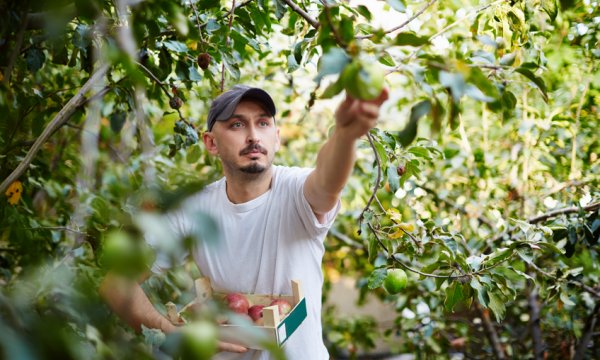 What's the difference between a seasonal employee and seasonal worker?