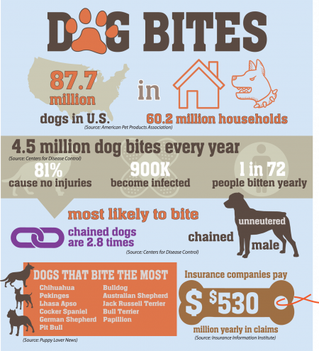 dog bite infographic