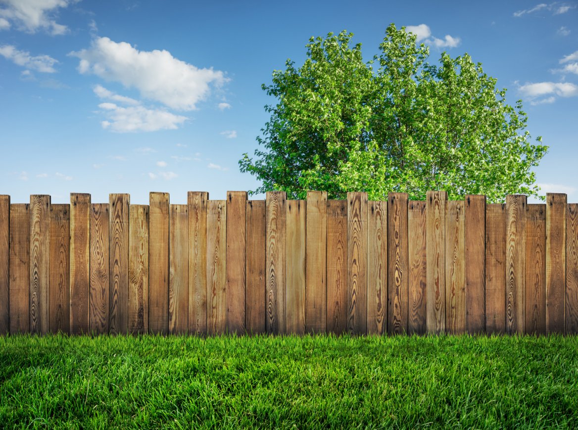 Trees lead to common disagreements between neighbors