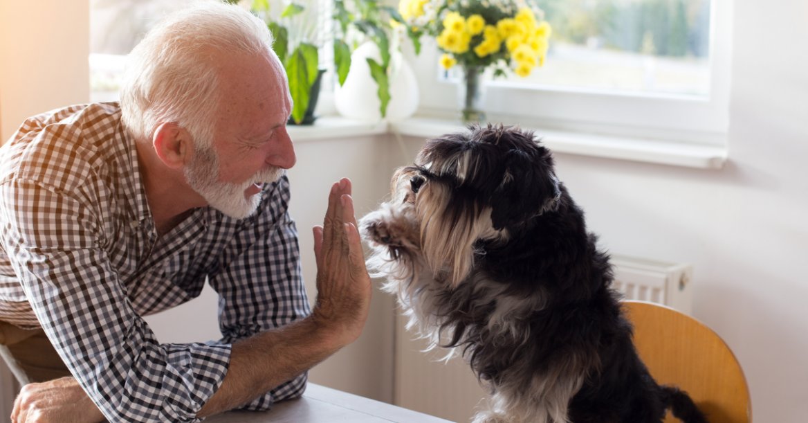 older gentleman and his dog high five each other