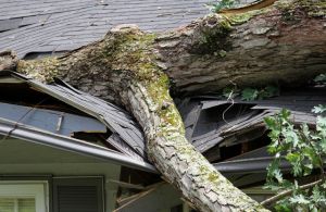 Storm damage insurance: What homeowners in Wisconsin and Minnesota need to know